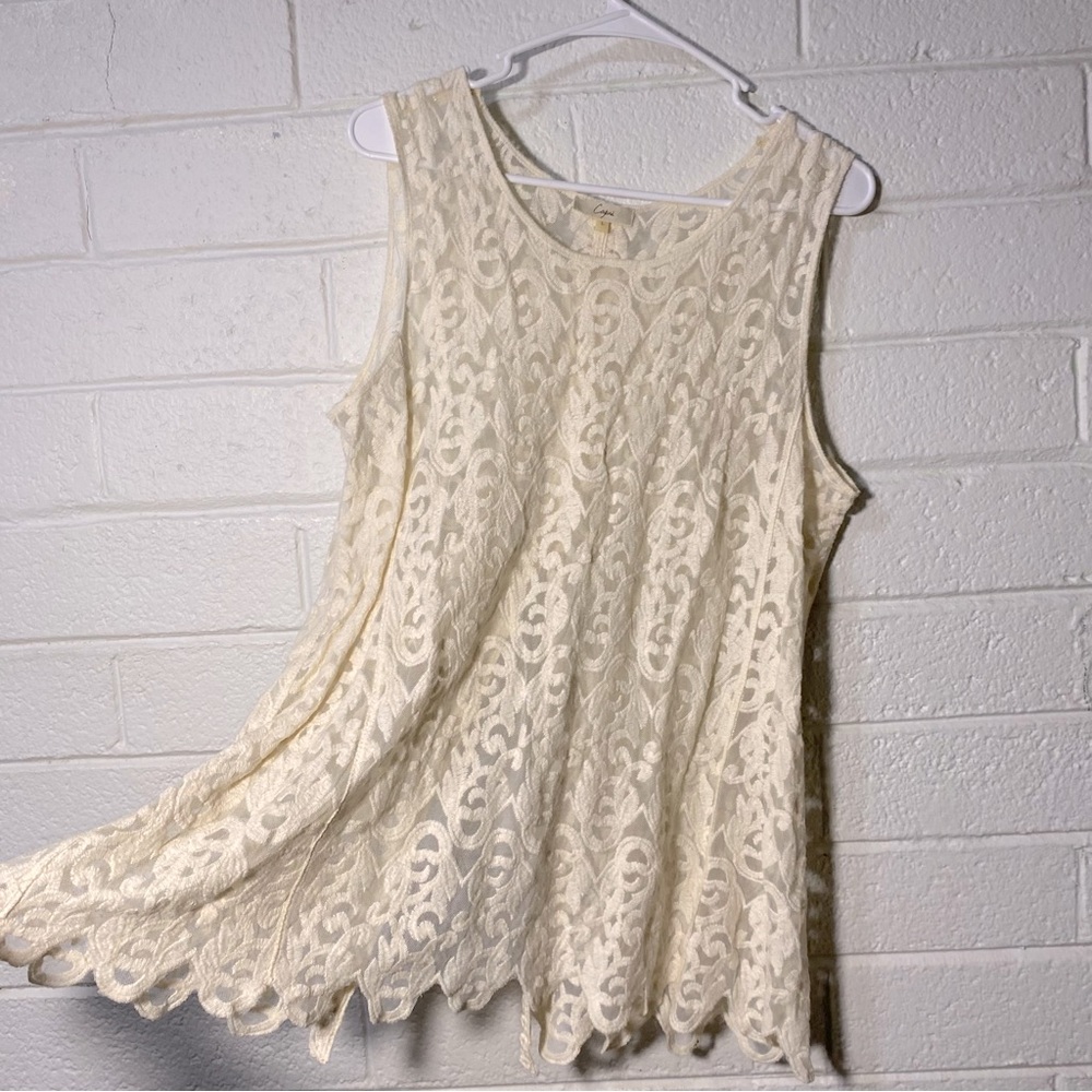 Capri Sioni Embroidered Mesh Tank L with Slit Halfway Up the Back Beige Large